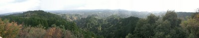 daihukuyama-p.jpg