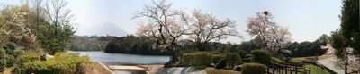 daisen_okanaritennboujo_p1.jpg