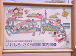 gassennjounosidaresakura_1.jpg