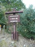 hasonotaki7.jpg