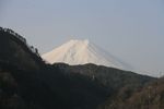 hatukariPA1.jpg