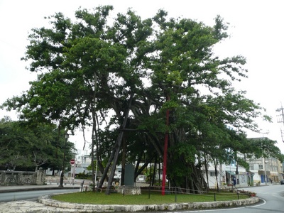 hinpungajumaru3.jpg