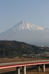 hujikawaSA3.jpg