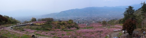 itinomiya_hanamidai_p07.jpg