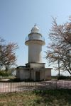 iwasakinohanatoudai1.jpg