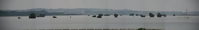 kinokoiwa_hamahika_p3.jpg