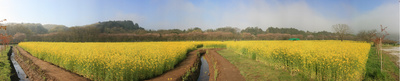 kintyakuta_p4.jpg