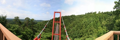 kokujouji_niigata_p1.jpg