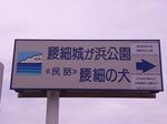 kosihososirogahama1.jpg