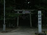 musikawaoosugi2.jpg