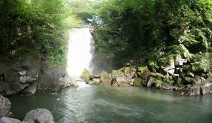 nasonotaki_p1.jpg