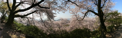 nisiyamakouen_hukui_p8.jpg