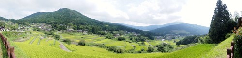 sakaoritanada_p05.jpg