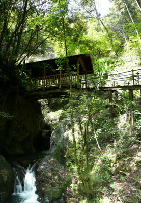 sanpaiyanotaki_p5.jpg