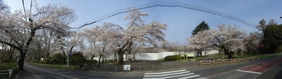 sayamakouen_p1.jpg