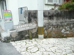 syurikanesirotyounoooakagi6.jpg