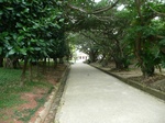 tamaudun9.jpg