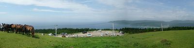 toimisaki_misakibahannsyokuti_p3.jpg