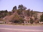 umayaisi1.jpg